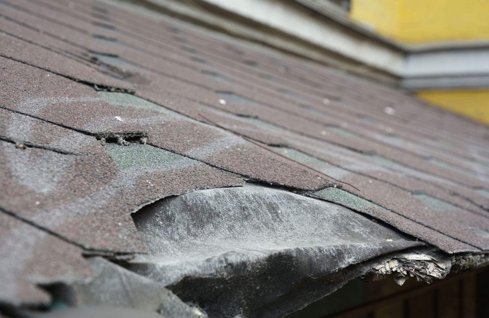 Precision Roofing Images