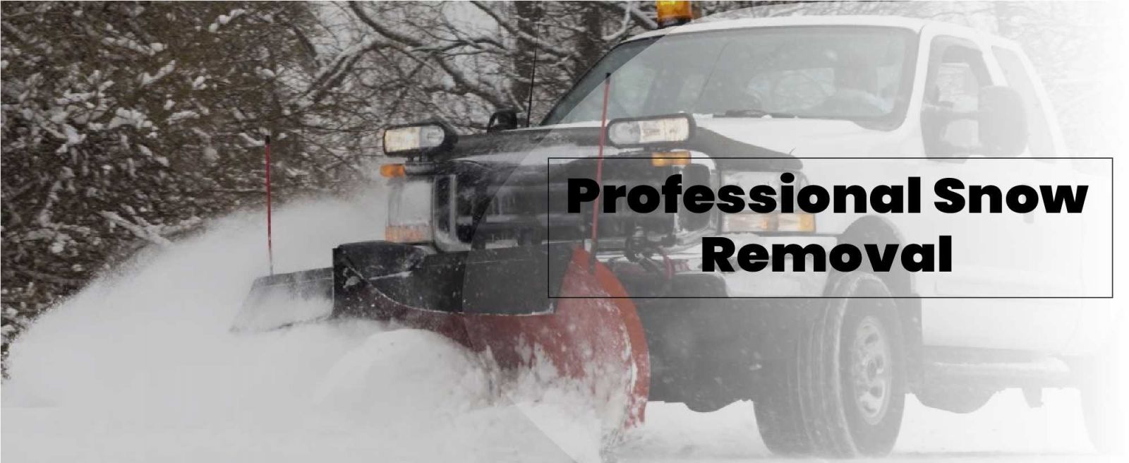 Precision Roofing Images