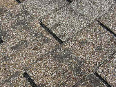 Precision Roofing Images